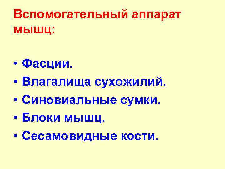 Вспомогательный аппарат мышц: • • • Фасции. Влагалища сухожилий. Синовиальные сумки. Блоки мышц. Сесамовидные