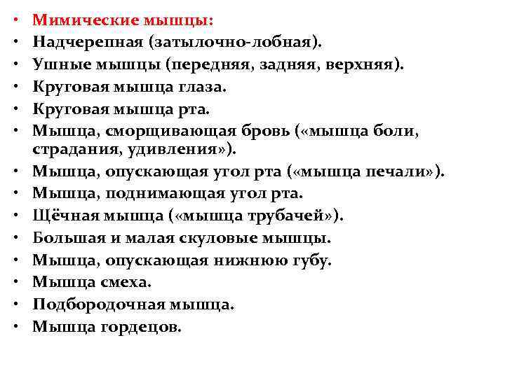  • • • • Мимические мышцы: Надчерепная (затылочно-лобная). Ушные мышцы (передняя, задняя, верхняя).