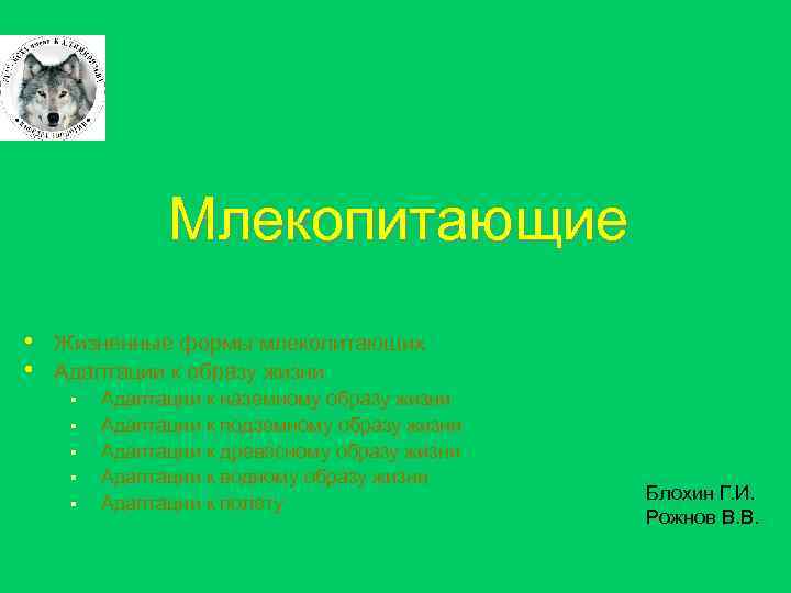 Млекопитающие • • Жизненные формы млекопитающих Адаптации к образу жизни § § § Адаптации