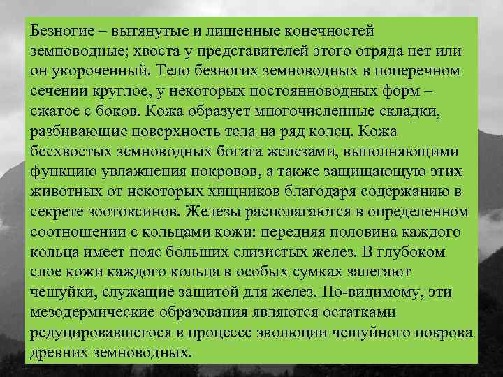 Безногие – вытянутые и лишенные конечностей земноводные; хвоста у представителей этого отряда нет или