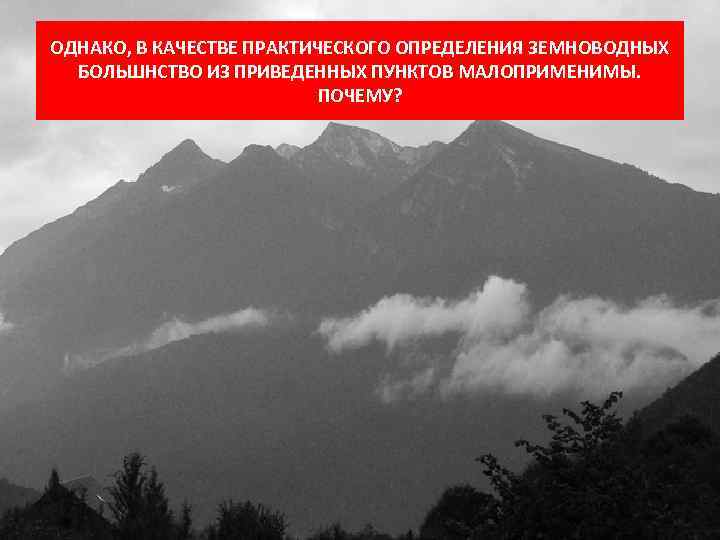 ОДНАКО, В КАЧЕСТВЕ ПРАКТИЧЕСКОГО ОПРЕДЕЛЕНИЯ ЗЕМНОВОДНЫХ БОЛЬШНСТВО ИЗ ПРИВЕДЕННЫХ ПУНКТОВ МАЛОПРИМЕНИМЫ. ПОЧЕМУ? 