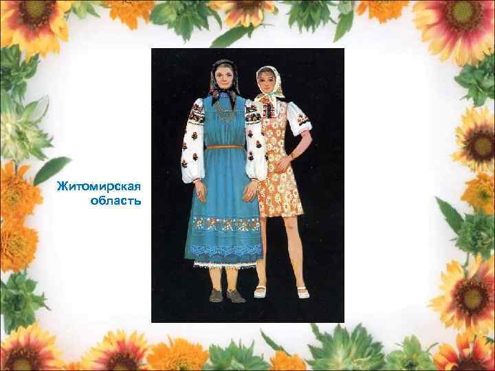 Житомирская область 