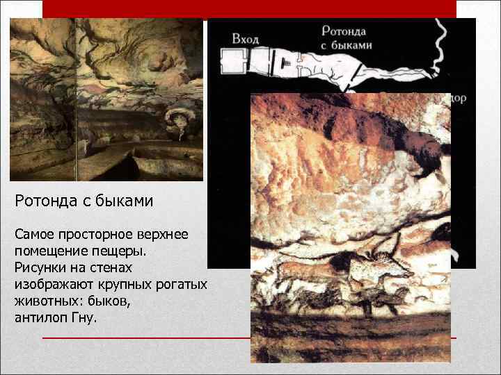 Ротонда с быками Самое просторное верхнее помещение пещеры. Рисунки на стенах изображают крупных рогатых