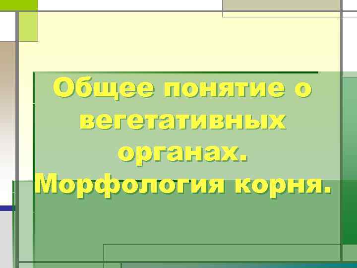 Общее понятие о вегетативных органах. Морфология корня. 
