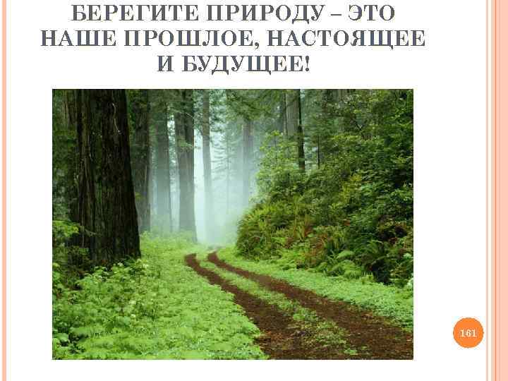 БЕРЕГИТЕ ПРИРОДУ – ЭТО НАШЕ ПРОШЛОЕ, НАСТОЯЩЕЕ И БУДУЩЕЕ! 161 