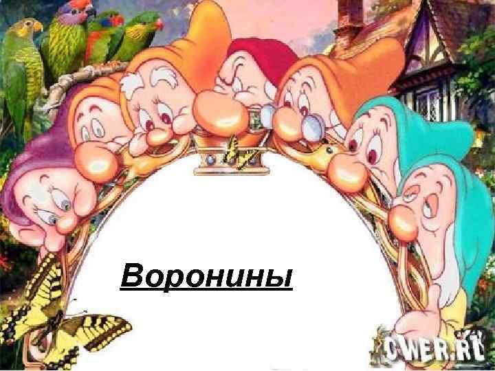 воронины Воронины 