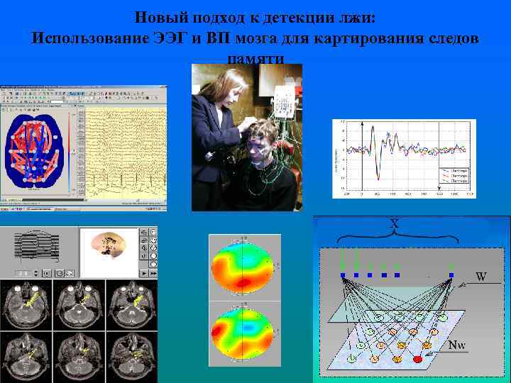 Новый подход к детекции лжи: Использование ЭЭГ и ВП мозга для картирования следов памяти
