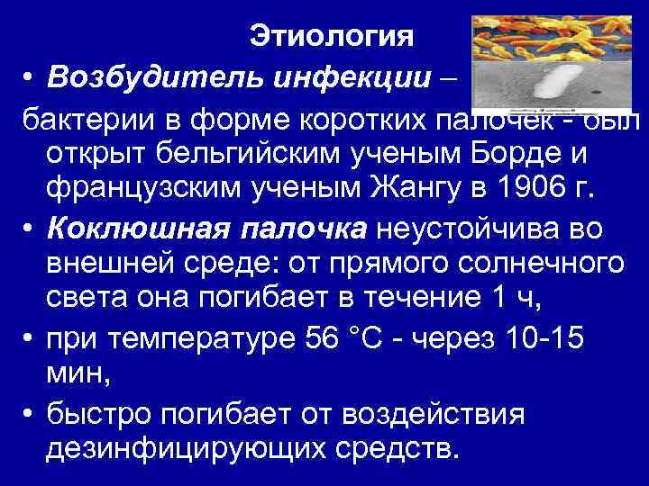 Этиология • Возбудитель инфекции – бактерии в форме коротких палочек - был открыт бельгийским