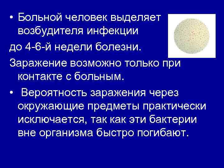  • Больной человек выделяет возбудителя инфекции до 4 -6 -й недели болезни. Заражение