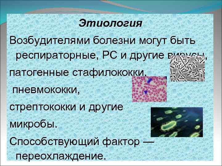 Этиология Возбудителями болезни могут быть респираторные, РС и другие вирусы, патогенные стафилококки, пневмококки, стрептококки