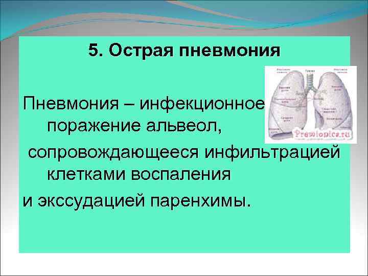 5. Острая пневмония Пневмония – инфекционное поражение альвеол, сопровождающееся инфильтрацией клетками воспаления и экссудацией