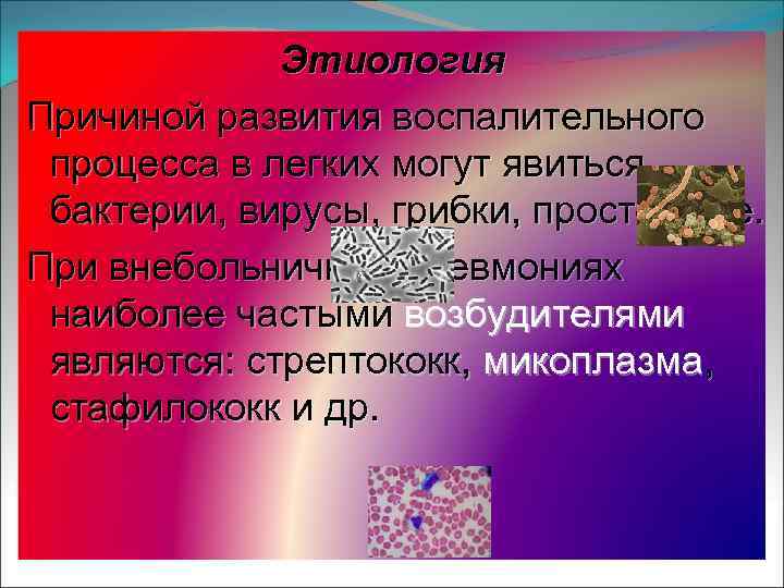 Этиология Причиной развития воспалительного процесса в легких могут явиться бактерии, вирусы, грибки, простейшие. При
