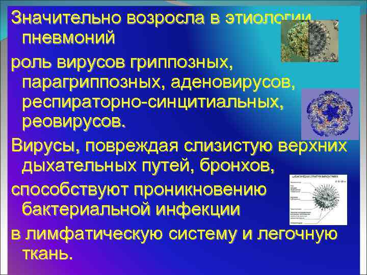 Значительно возросла в этиологии пневмоний роль вирусов гриппозных, парагриппозных, аденовирусов, респираторно-синцитиальных, реовирусов. Вирусы, повреждая