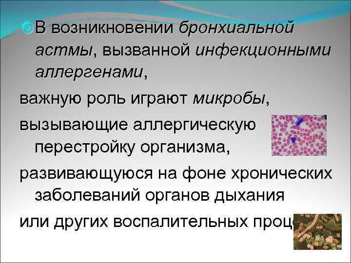  В возникновении бронхиальной астмы, вызванной инфекционными аллергенами, важную роль играют микробы, вызывающие аллергическую