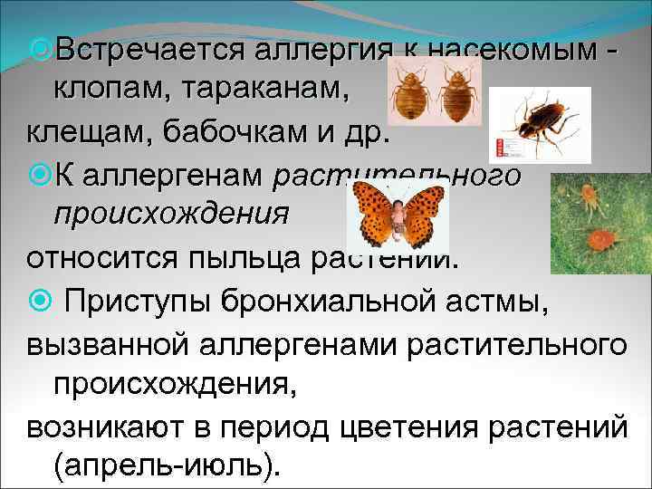 Встречается аллергия к насекомым - клопам, тараканам, клещам, бабочкам и др. К аллергенам