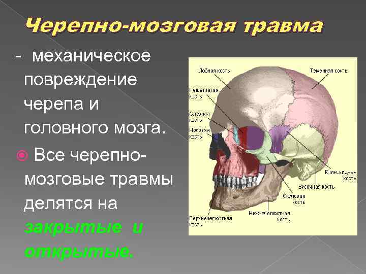 Травмы черепа и головного мозга. Черепно-мозговая травма.