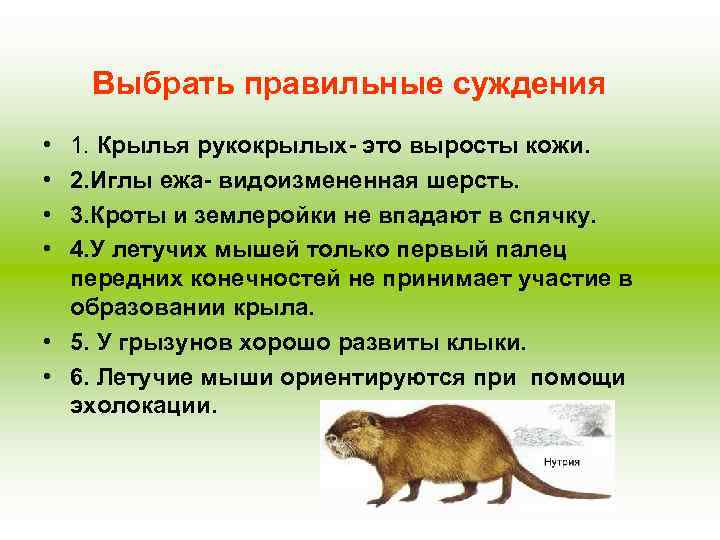 Выбрать правильные суждения • • 1. Крылья рукокрылых- это выросты кожи. 2. Иглы ежа-