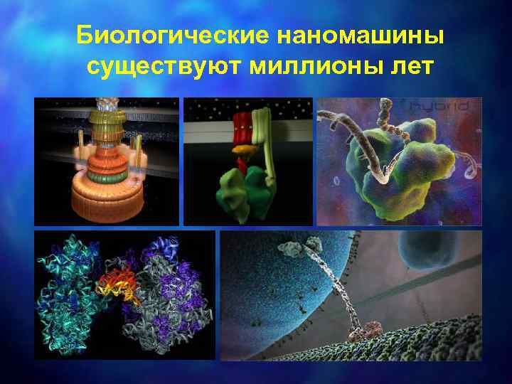 Биологические наномашины существуют миллионы лет 