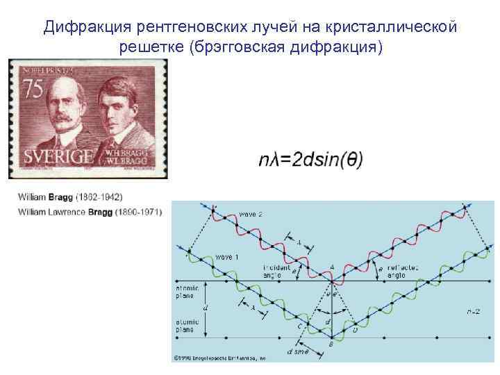 Дифракция рентгеновских лучей на кристаллической решетке (брэгговская дифракция) 