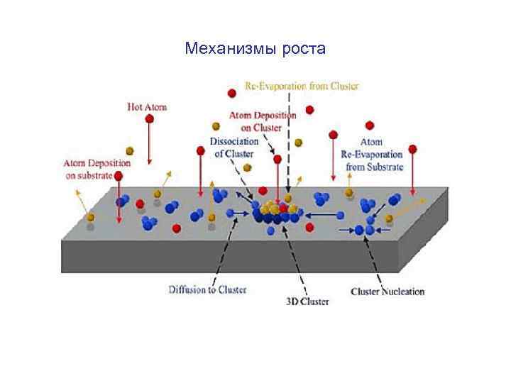 Механизмы роста 