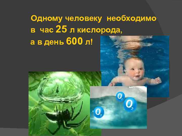 Одному человеку необходимо в час 25 л кислорода, а в день 600 л! 