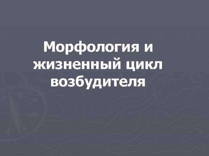 Морфология и жизненный цикл возбудителя 