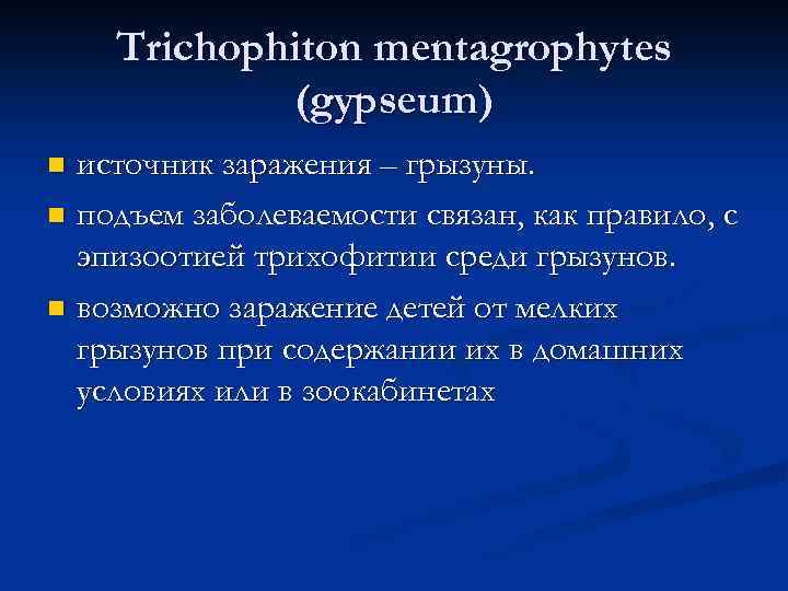 Trichophiton mentagrophytes (gypsеum) источник заражения – грызуны. n подъем заболеваемости связан, как правило, с