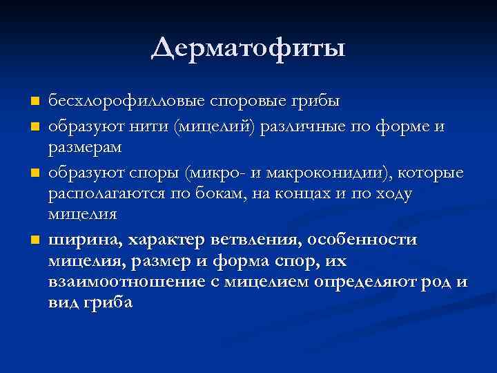 Дерматофиты n n бесхлорофилловые споровые грибы образуют нити (мицелий) различные по форме и размерам