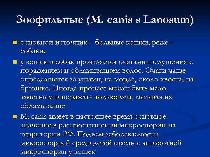 Зоофильные (M. canis s Lanosum) n n n основной источник – больные кошки, реже