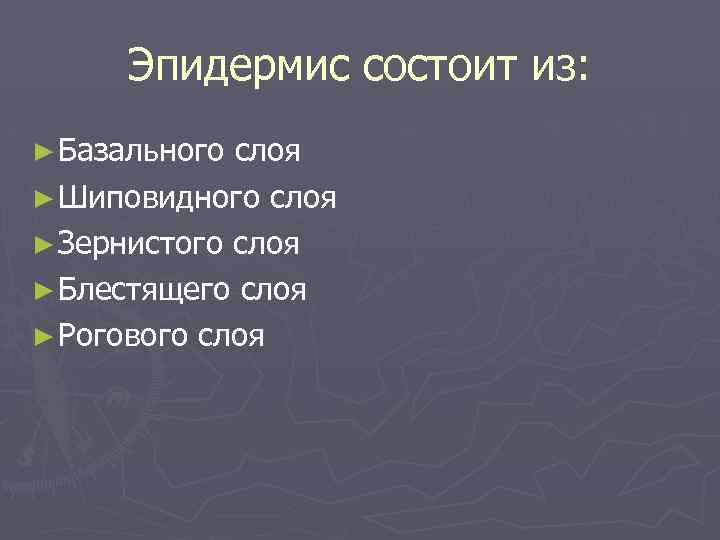 Эпидермис состоит из: ► Базального слоя ► Шиповидного слоя ► Зернистого слоя ► Блестящего