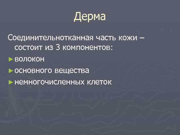 Дерма Соединительнотканная часть кожи – состоит из 3 компонентов: ► волокон ► основного вещества