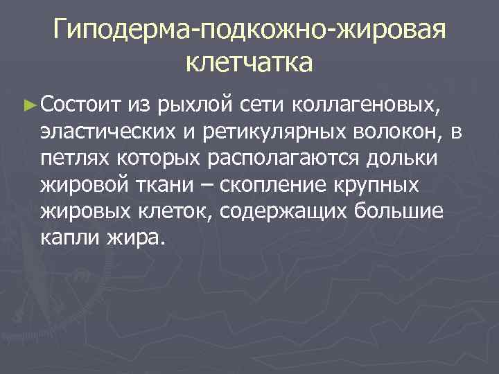 Гиподерма-подкожно-жировая клетчатка ► Состоит из рыхлой сети коллагеновых, эластических и ретикулярных волокон, в петлях