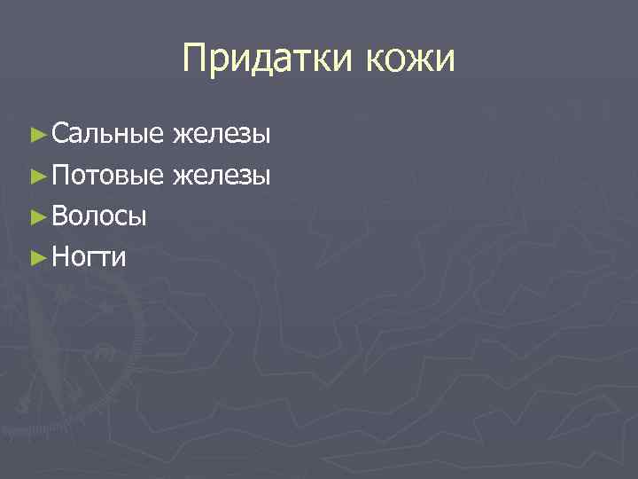 Придатки кожи ► Сальные железы ► Потовые железы ► Волосы ► Ногти 