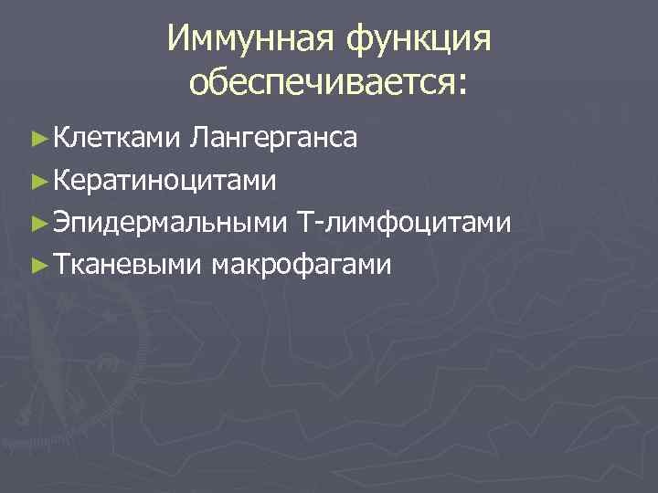 Иммунная функция обеспечивается: ► Клетками Лангерганса ► Кератиноцитами ► Эпидермальными Т-лимфоцитами ► Тканевыми макрофагами