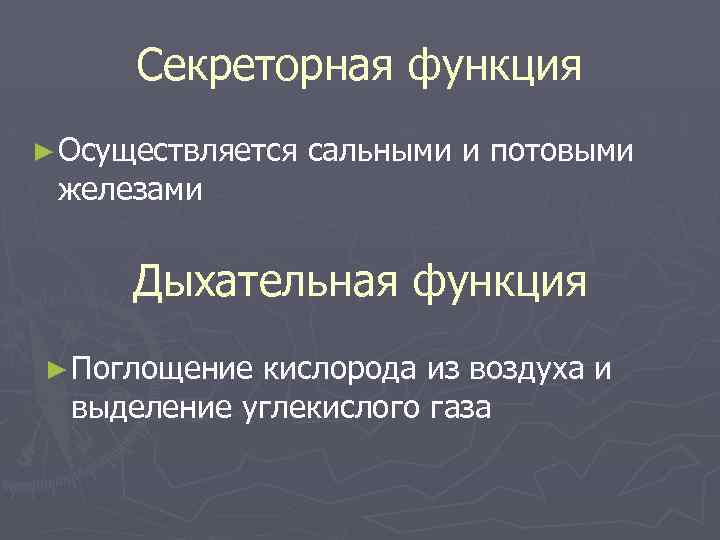 Секреторная функция ► Осуществляется железами сальными и потовыми Дыхательная функция ► Поглощение кислорода из