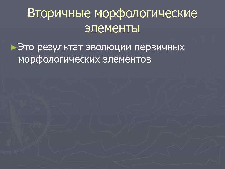 Вторичные морфологические элементы ► Это результат эволюции первичных морфологических элементов 