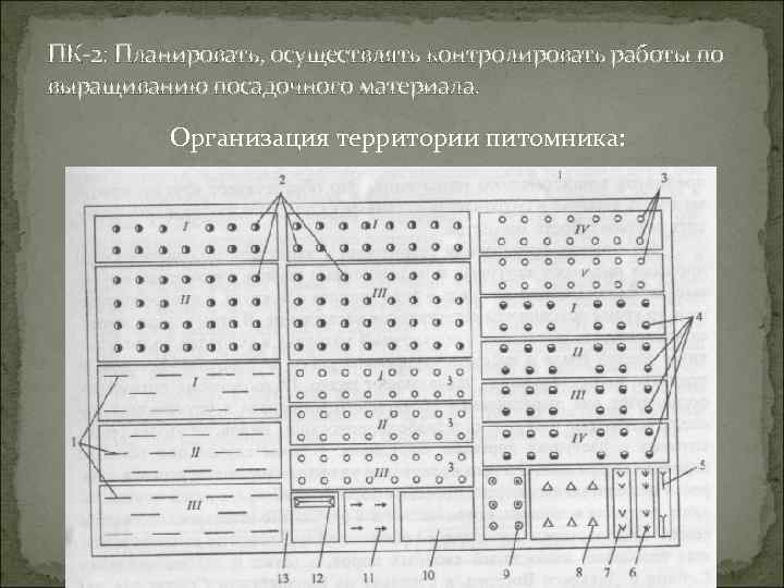 ПК-2: Планировать, осуществлять контролировать работы по выращиванию посадочного материала. Организация территории питомника: 