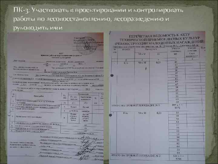 ПК-3: Участвовать в проектировании и контролировать работы по лесовосстановлению, лесоразведению и руководить ими 