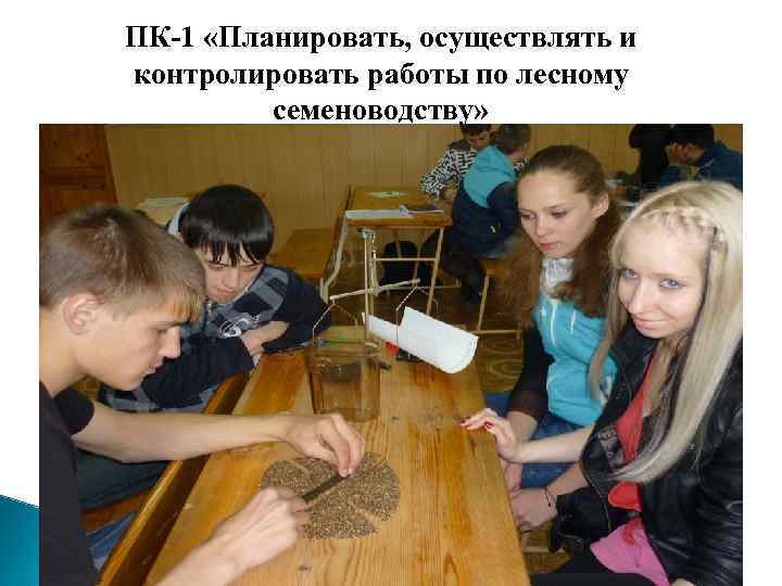 ПК-1 «Планировать, осуществлять и контролировать работы по лесному семеноводству» 