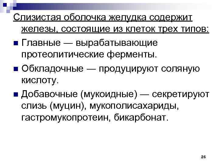 Слизистая оболочка желудка содержит железы, состоящие из клеток трех типов: n Главные ― вырабатывающие
