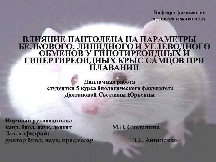 Кафедра физиологии человека и животных ВЛИЯНИЕ ПАНТОЛЕНА НА ПАРАМЕТРЫ БЕЛКОВОГО, ЛИПИДНОГО И УГЛЕВОДНОГО ОБМЕНОВ