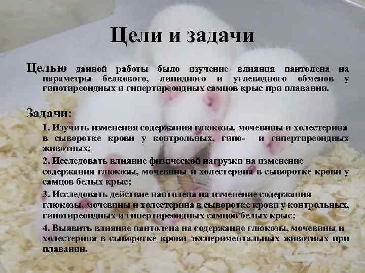Цели и задачи Целью данной работы было изучение влияния пантолена на параметры белкового, липидного