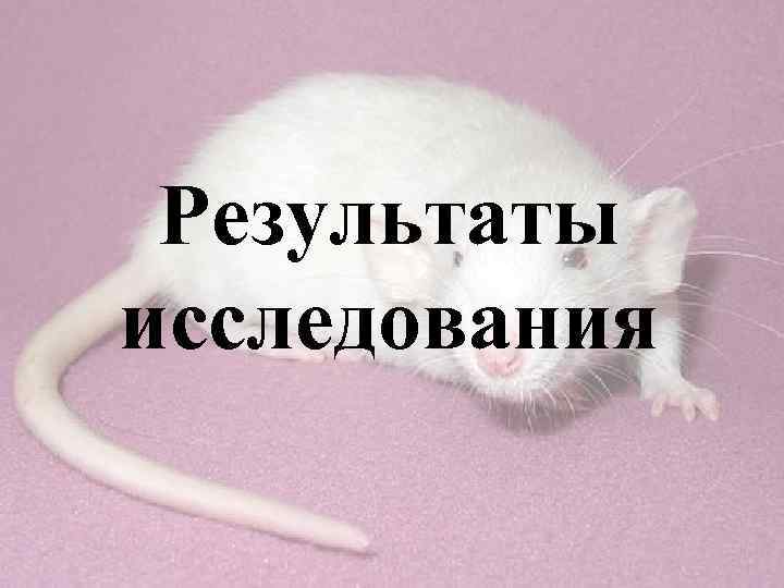 Результаты исследования 