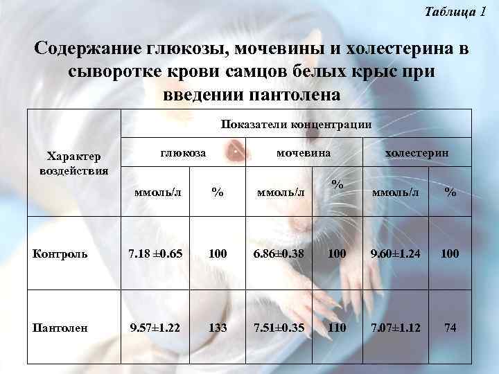 Таблица 1 Содержание глюкозы, мочевины и холестерина в сыворотке крови самцов белых крыс при