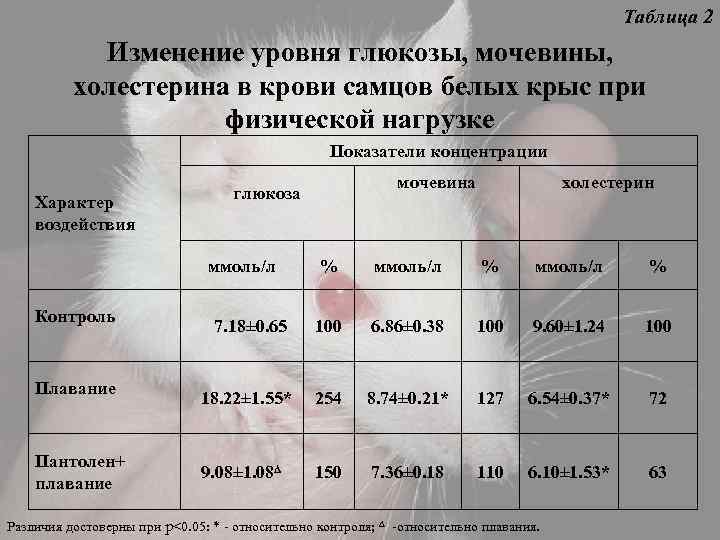 Таблица 2 Изменение уровня глюкозы, мочевины, холестерина в крови самцов белых крыс при физической