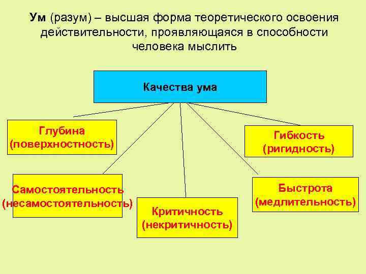 Форм ум. Формы освоения действительности. Формы освоения материала. Уровни освоения действительности. Познавательная сфера человека.