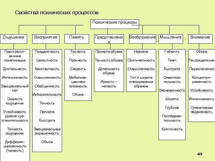 Свойства психических процессов Психические процессы Ощущение Восприятие Память Представлени е Пространственная локализация Предметность Точность