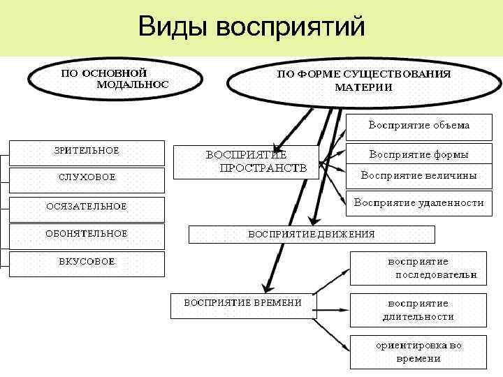 Виды восприятий 9 
