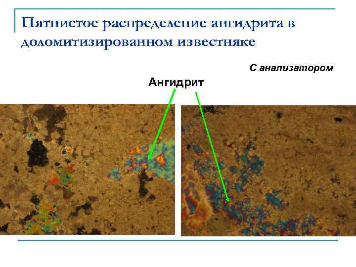 Пятнистое распределение ангидрита в доломитизированном известняке С анализатором Ангидрит 