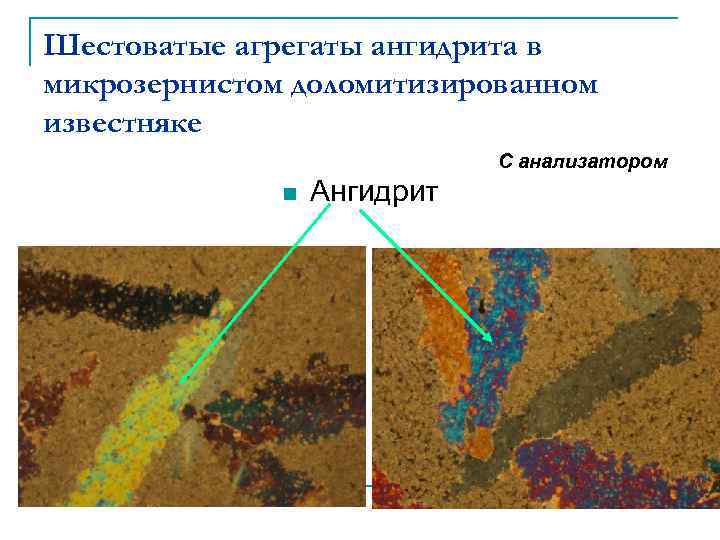 Шестоватые агрегаты ангидрита в микрозернистом доломитизированном известняке С анализатором n Ангидрит 